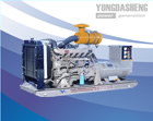 Y-W series
