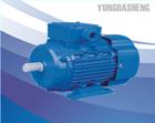 MS series(EFF2) Three Phase Aluminium Alloy Housing Induction Motor